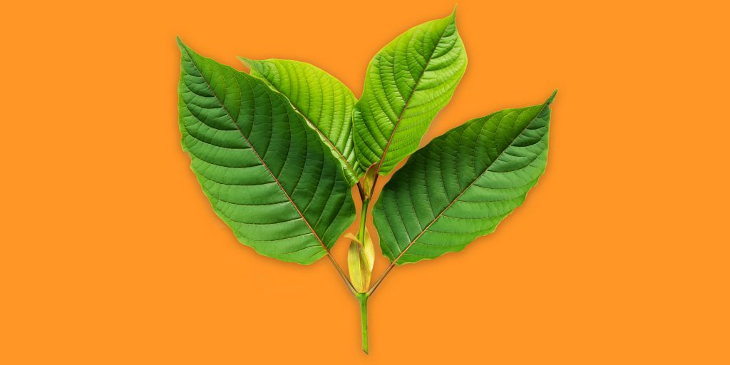 Best Kratom
